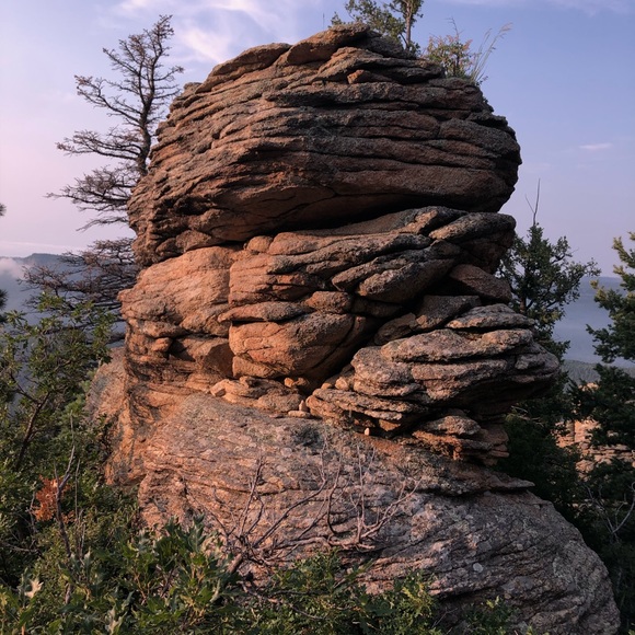 Meet your Posher, Bennett - Picture 1 of 1